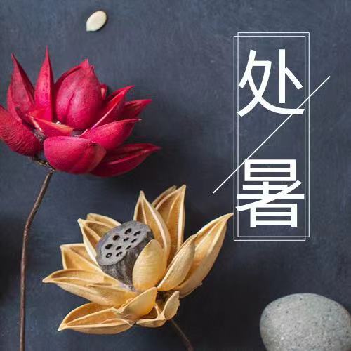 處暑|四時俱可喜，最好新秋時